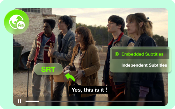 multi languages for audios and subtitles