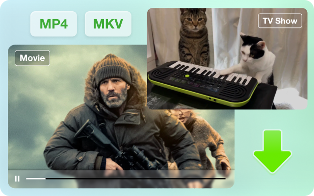 convert streaming video to mp4 or mkv