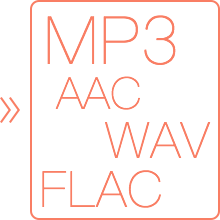 support multiple audio formats