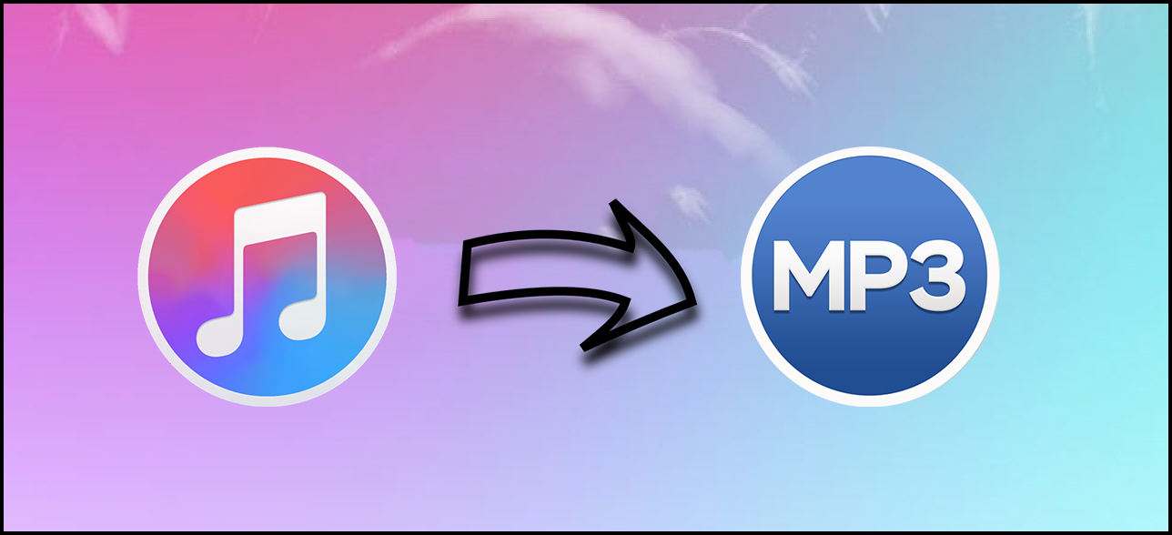 Best TikTok to MP3 Converters for Windows, Mac, iOS, and Android