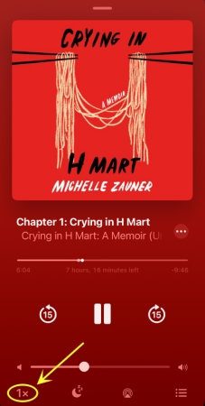 audiobooks playback