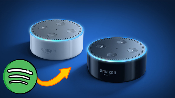 Top Ways to Play Spotify Music on Amazon Echo - Tunelf
