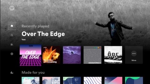 Amazon Fire TV Spotify: Play Spotify on Amazon Fire TV - Tunelf