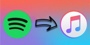 transfer spotify music to itunes transfer spotify music to itunes
