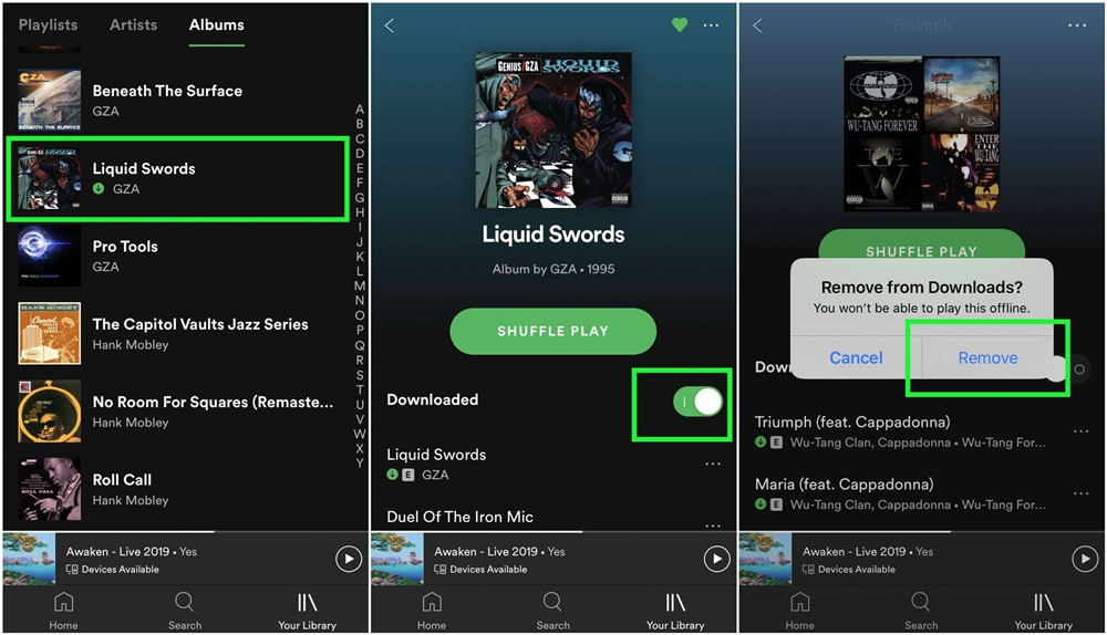 how to download spotify music