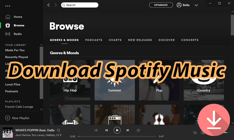 Download Music from Spotify