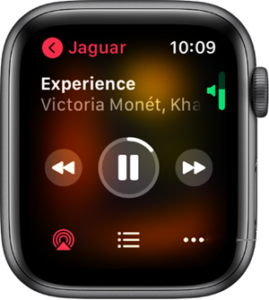 play music from apple watch speaker
