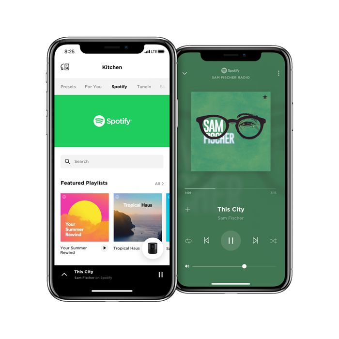 udvikle Tog forbundet Bose Speaker Spotify: Play Spotify on Bose Speaker 2023 - Tunelf