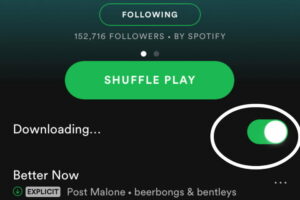 how do i download music to my phone from spotify how do i download music to my phone from spotify