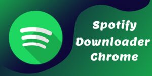 Spotify Downloader Chrome to Save Spotify Music Free - Tunelf
