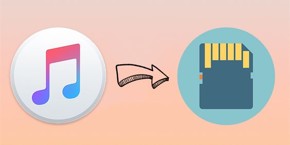 apple music to sd card
