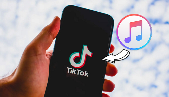 TikTok Add to Music App Feature for Spotify, Apple Music,  Music