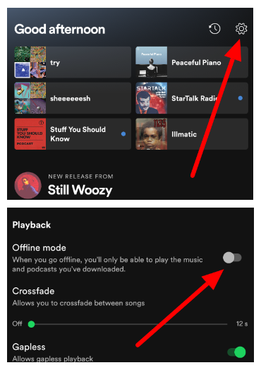 How to Fix Spotify Not Playing Downloaded Songs - Tunelf