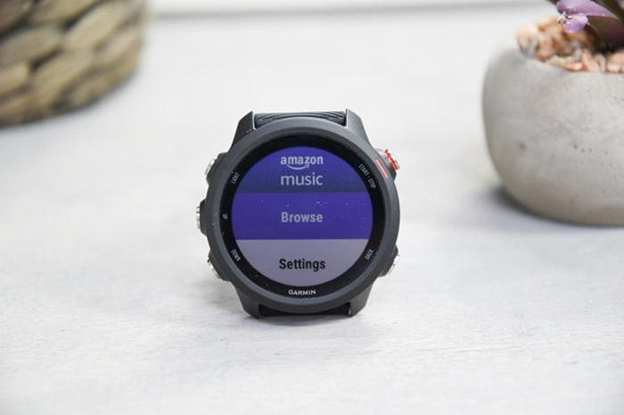 Garmin fenix 5 plus amazon music 2025
