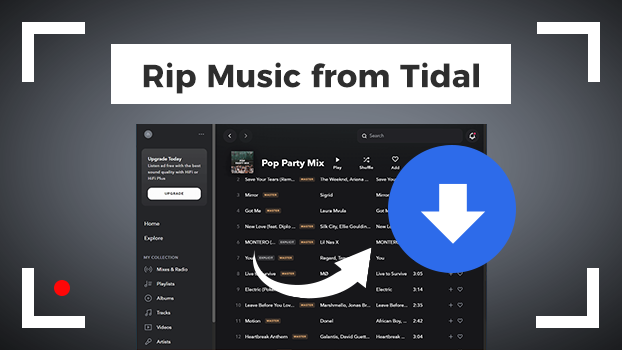 6 Best Tidal Ripper To Rip Music From Tidal In 2024 Tunelf how-to-rip-music-from-a-cd-to-a-computer-copy-music-from-cd-to-hard