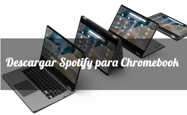 spotify download linux ubuntu spotify download linux ubuntu