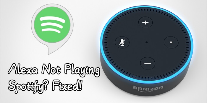 How to Get Alexa to Play  Music