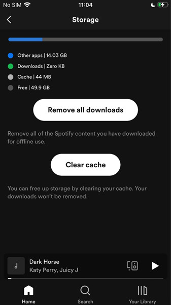 How to Fix Spotify Black Screen [Updated 2024] - Tunelf