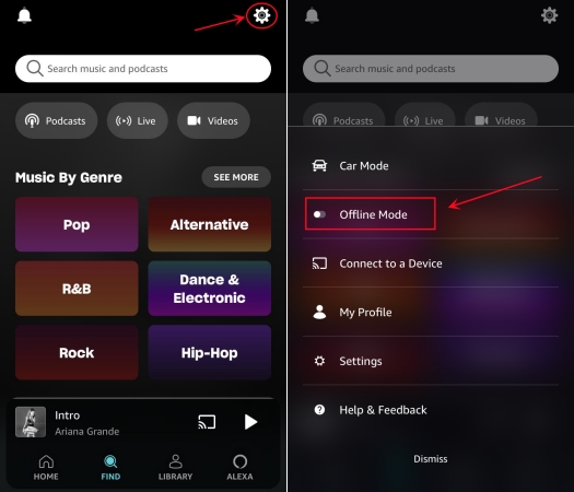 Amazon echo sales music skipping