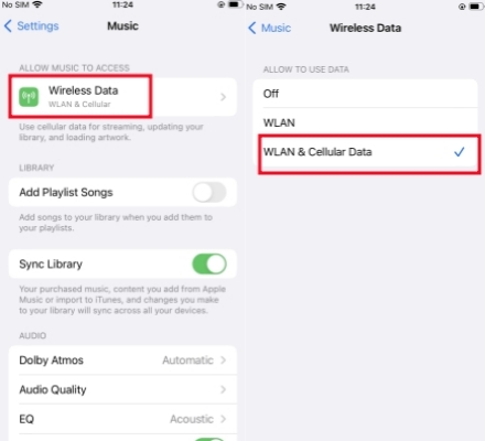 enable wireless data for apple music